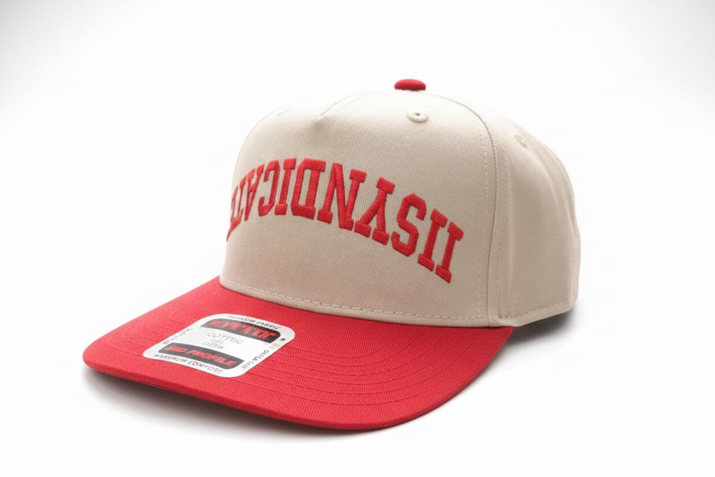 iit’s going down SnapBack